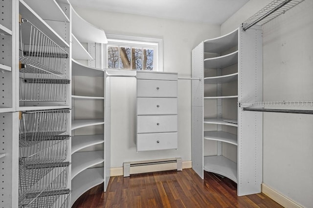 walk in closet with a baseboard radiator and dark hardwood / wood-style floors