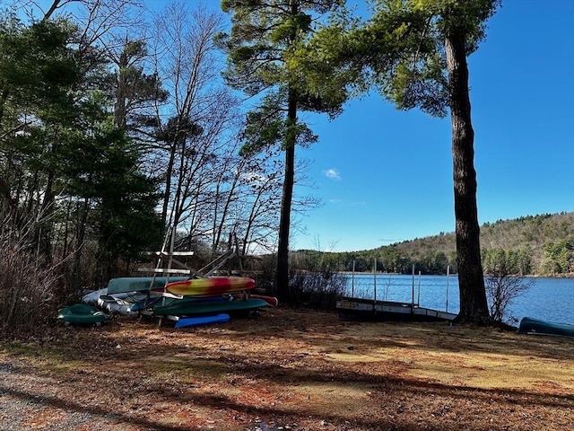 view of yard featuring a water view and a dock