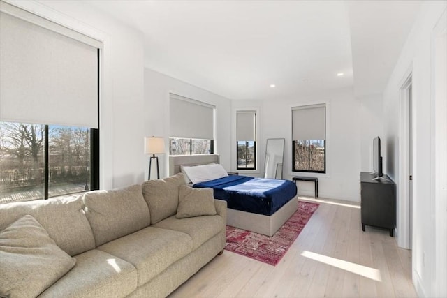 bedroom with light hardwood / wood-style flooring