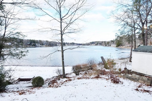 view of yard layered in snow