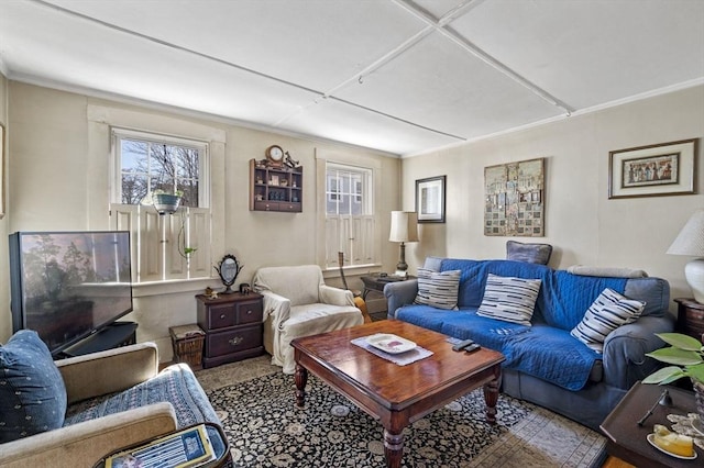 living room featuring crown molding