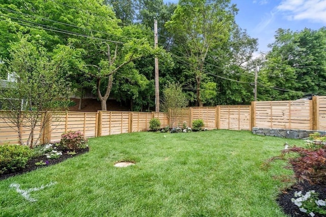 view of yard featuring a fenced backyard