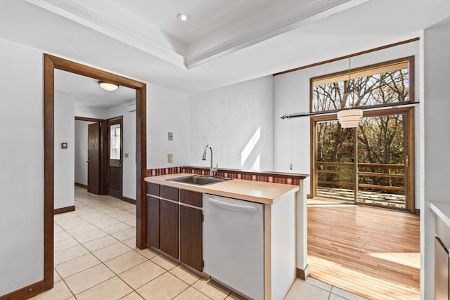 kitchen featuring light wood-type flooring, dark brown cabinetry, crown molding, sink, and dishwasher