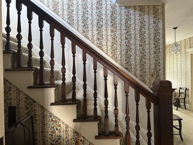 stairway with carpet floors