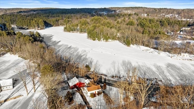 snowy aerial view with a wooded view