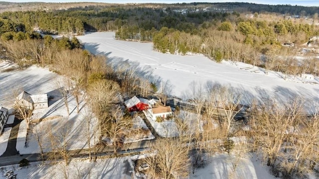 bird's eye view with a view of trees