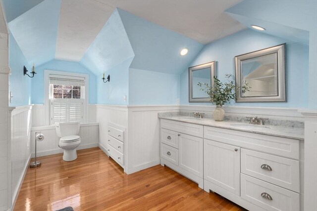 full bathroom featuring vaulted ceiling, wood finished floors, wainscoting, and a sink