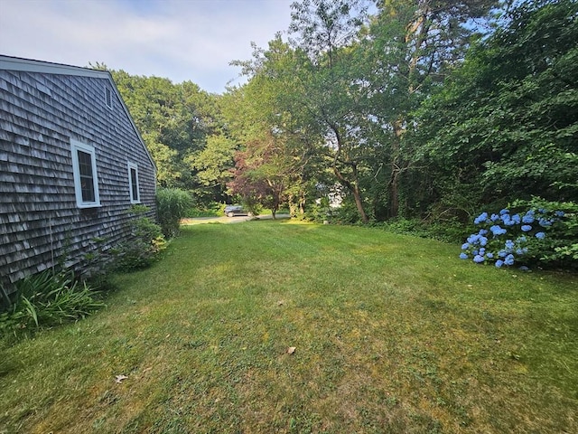 3 Kenneth St, Sandwich, MA 02537 - view of green lawn