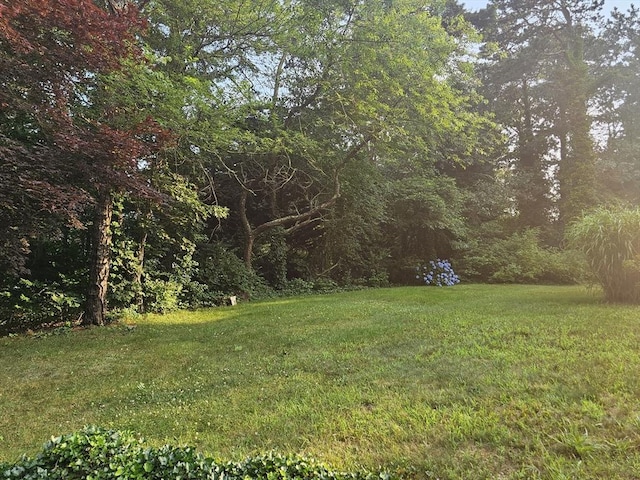 3 Kenneth St, Sandwich, MA 02537 - view of grassy yard with a view of trees