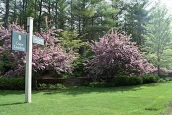 view of community featuring a yard