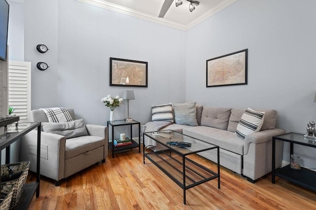 living room with crown molding and light hardwood / wood-style flooring