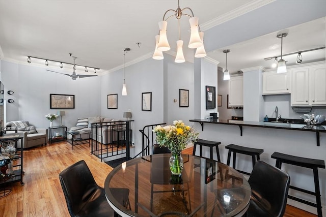 dining room with rail lighting, sink, light hardwood / wood-style flooring, and crown molding