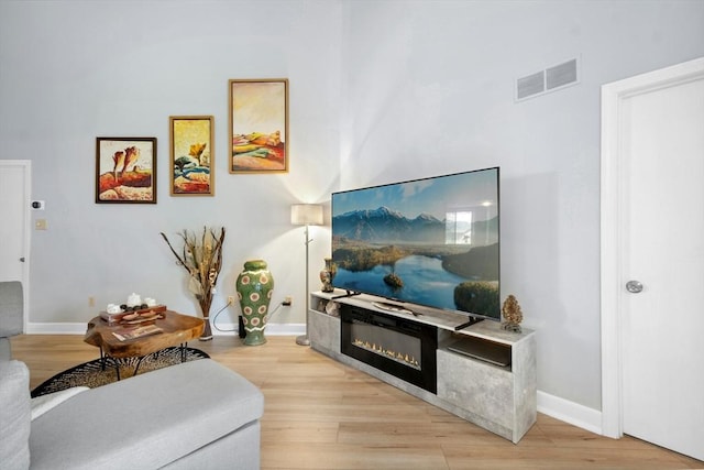 243 Trailside Way Unit 243, Ashland, MA 01721 - living area featuring light wood-type flooring, baseboards, and a glass covered fireplace