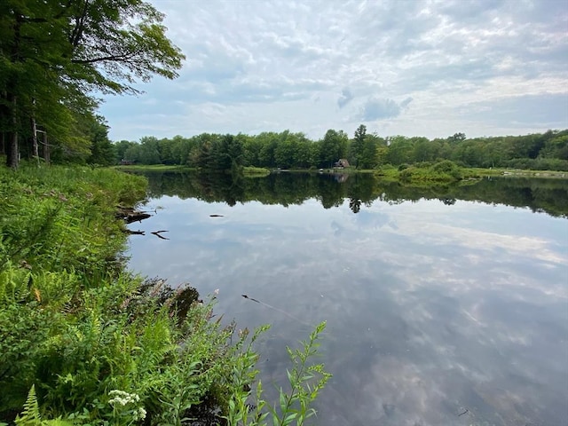0 King Richard Dr, Becket, MA 01223