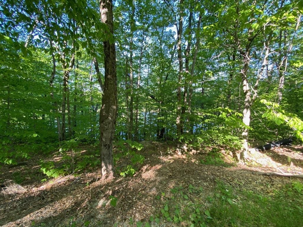 0 King Richard Dr, Becket, MA 01223