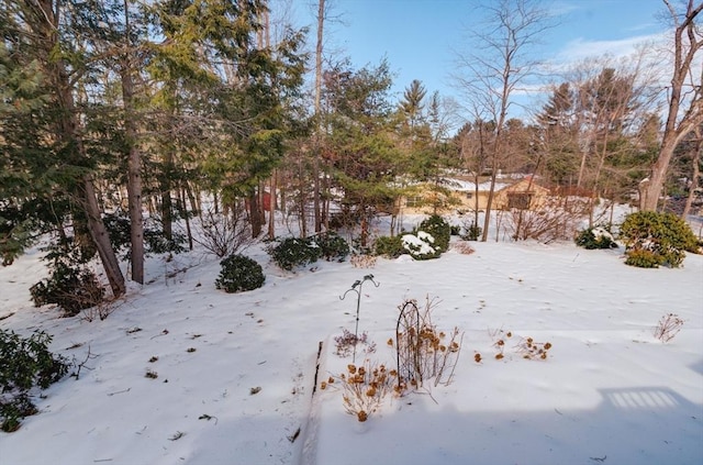 view of yard layered in snow