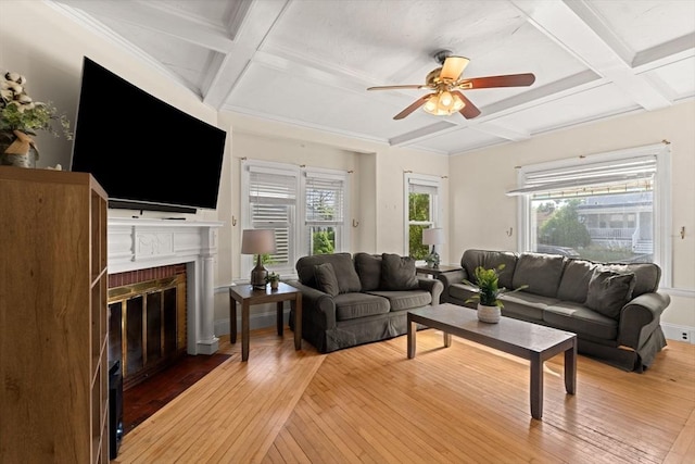 426 Moraine St, Brockton, MA 02301 - living room featuring coffered ceiling, light wood-style floors, a fireplace, a ceiling fan, and healthy amount of natural light