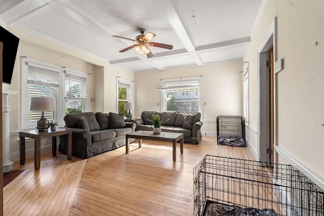 426 Moraine St, Brockton, MA 02301 - living room featuring a ceiling fan, coffered ceiling, healthy amount of natural light, beam ceiling, and light wood-style flooring