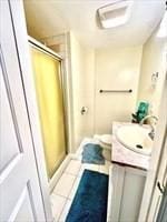 full bathroom with vanity, tile patterned flooring, and a shower stall
