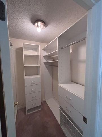 27 Fuller Pond Rd Unit 27, Middleton, MA 01949 - view of spacious closet