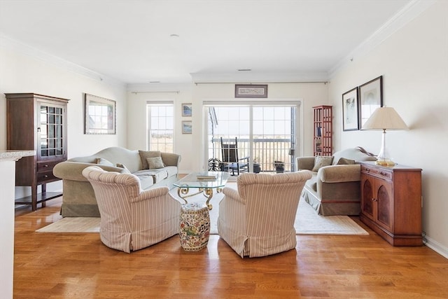 living room with ornamental molding and light hardwood / wood-style flooring