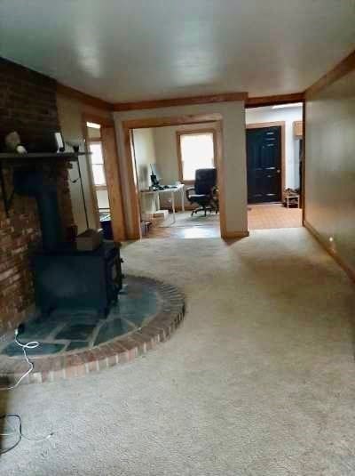 living room with light colored carpet and a wood stove