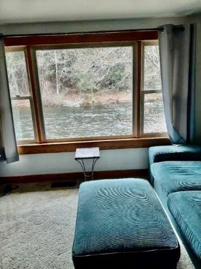 living area with plenty of natural light and carpet flooring