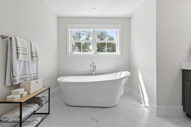 bathroom with vanity and a bathing tub