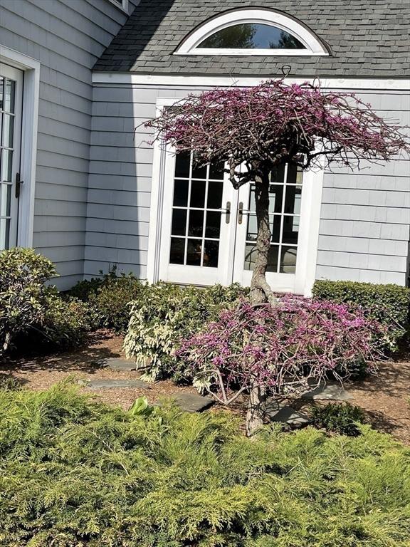 entrance to property with a shingled roof