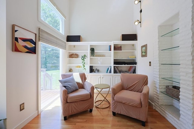 8 Mercer Ln, Franklin, MA 02038 - sitting room with a high ceiling, healthy amount of natural light, light wood-style flooring, and a glass covered fireplace