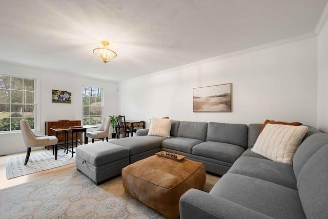 living room featuring ornamental molding and light wood-style floors