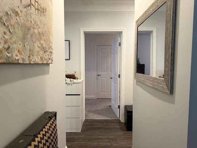 hallway featuring dark wood-style flooring