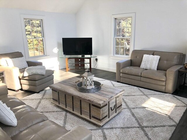 living room with a healthy amount of sunlight, lofted ceiling, baseboards, and wood finished floors