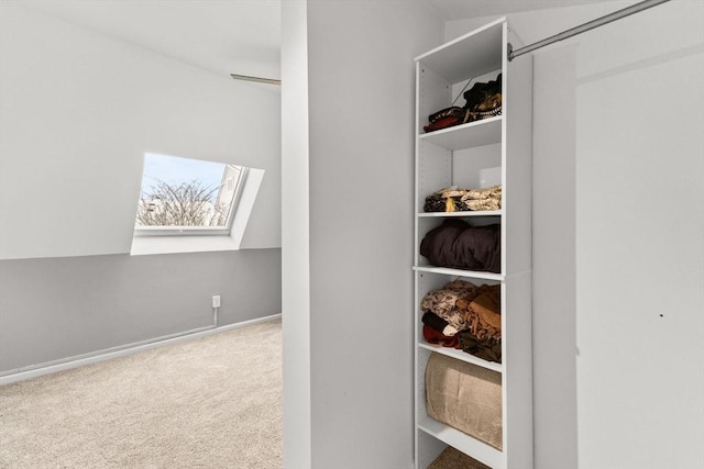 walk in closet featuring a skylight and carpet floors