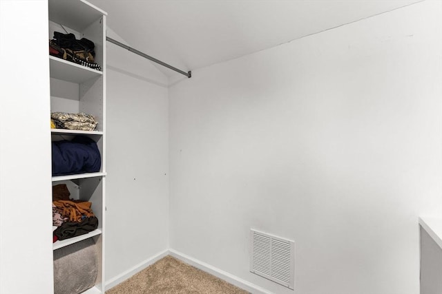 walk in closet featuring carpet floors