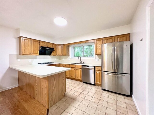 194 Captain Eames Cir Unit 194, Ashland, MA 01721 - kitchen featuring appliances with stainless steel finishes, a sink, ventilation hood, a peninsula, and light countertops