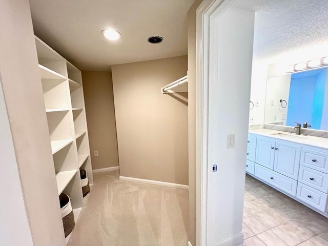 194 Captain Eames Cir Unit 194, Ashland, MA 01721 - walk in closet with a sink