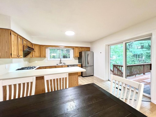 194 Captain Eames Cir Unit 194, Ashland, MA 01721 - kitchen with appliances with stainless steel finishes, light countertops, a peninsula, a sink, and brown cabinetry