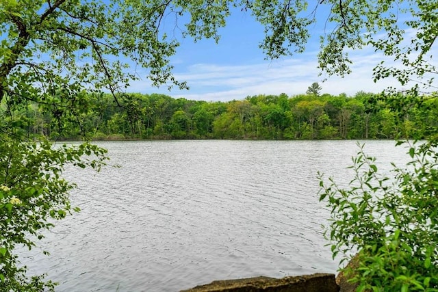 1857 Great Pond Rd, North Andover, MA 01845 - water view featuring a heavily wooded area