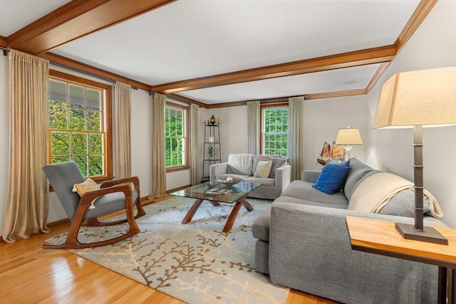 1857 Great Pond Rd, North Andover, MA 01845 - living area featuring wood finished floors, beam ceiling, and crown molding