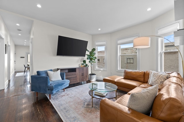 living room with dark hardwood / wood-style floors