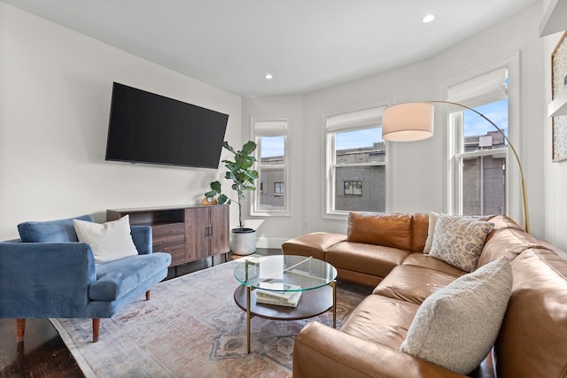 living room featuring wood-type flooring