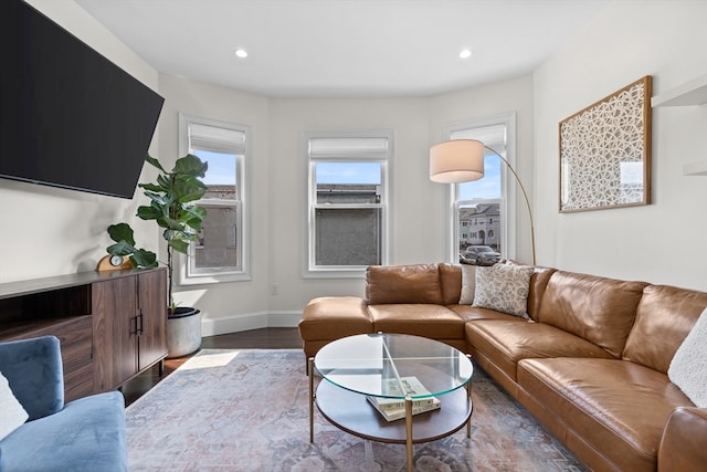 living room with hardwood / wood-style floors