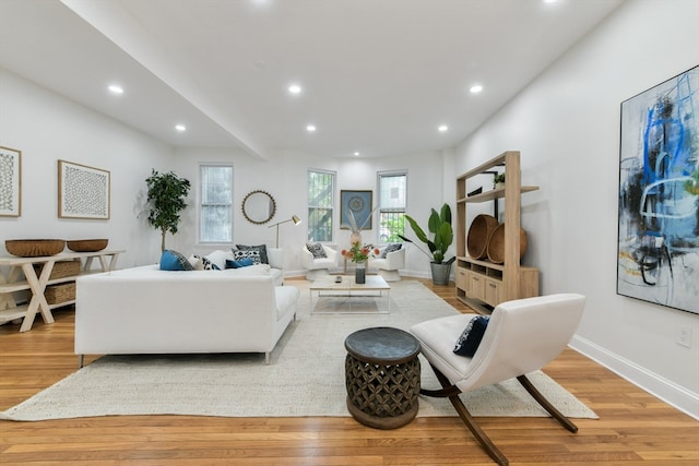 living room with light hardwood / wood-style flooring