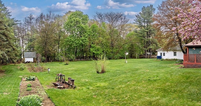 view of yard