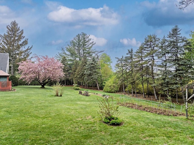 view of yard