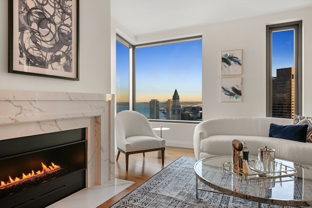 living room featuring a fireplace and light hardwood / wood-style flooring