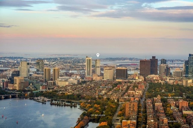 city view with a water view