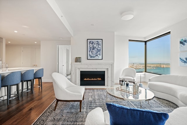 living room with a water view, dark wood-type flooring, and a fireplace