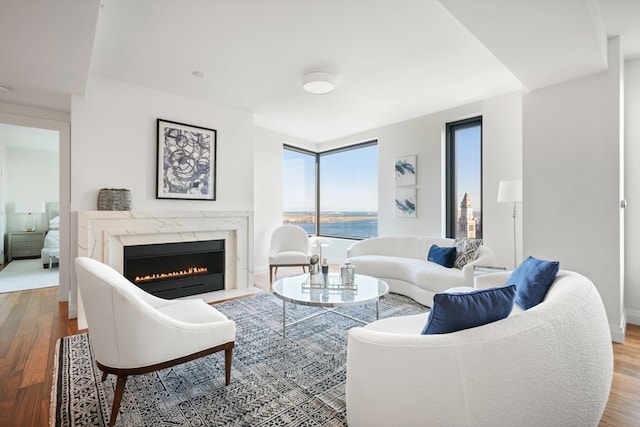 living room featuring wood-type flooring, a premium fireplace, and a water view